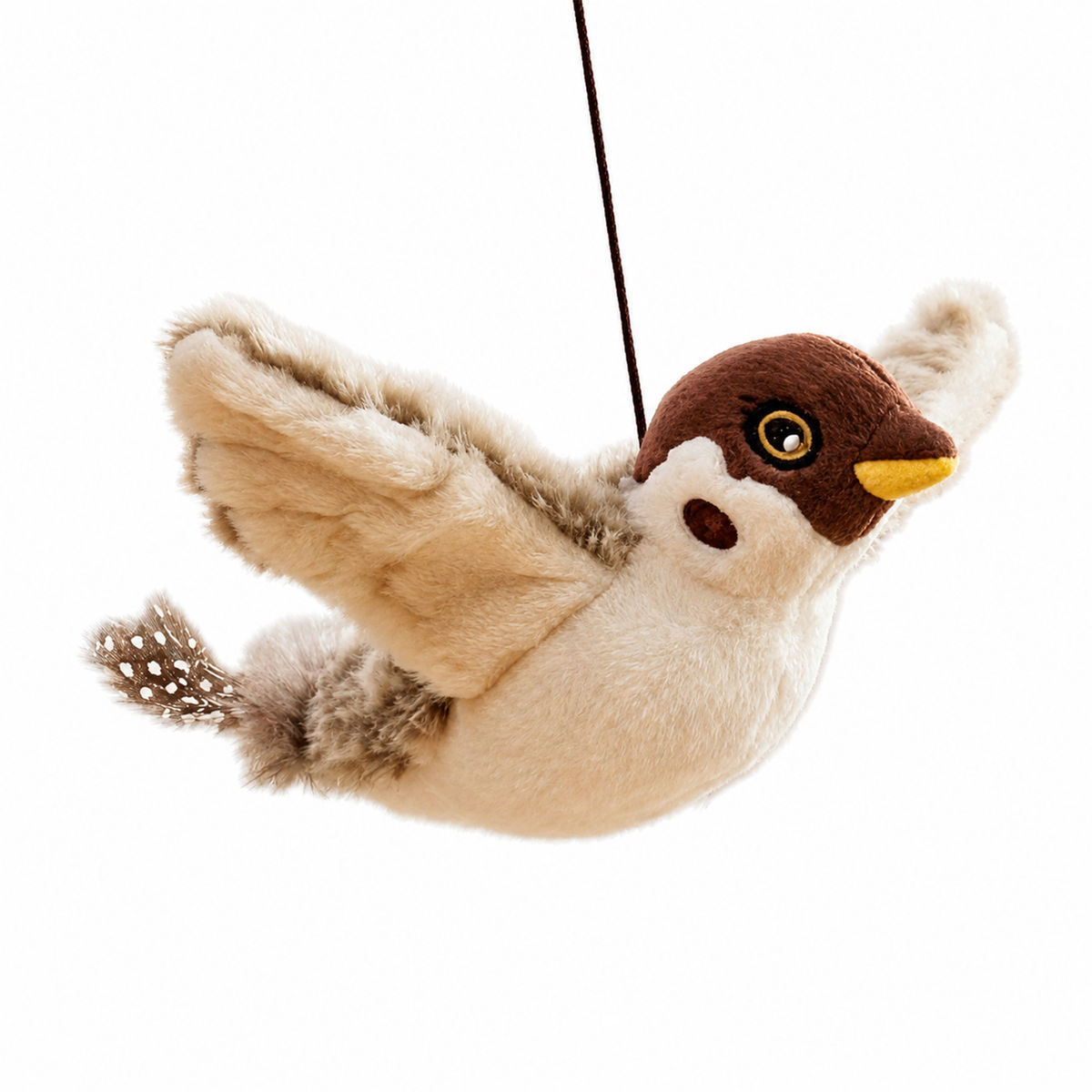 KPT-10616C - Kiwi