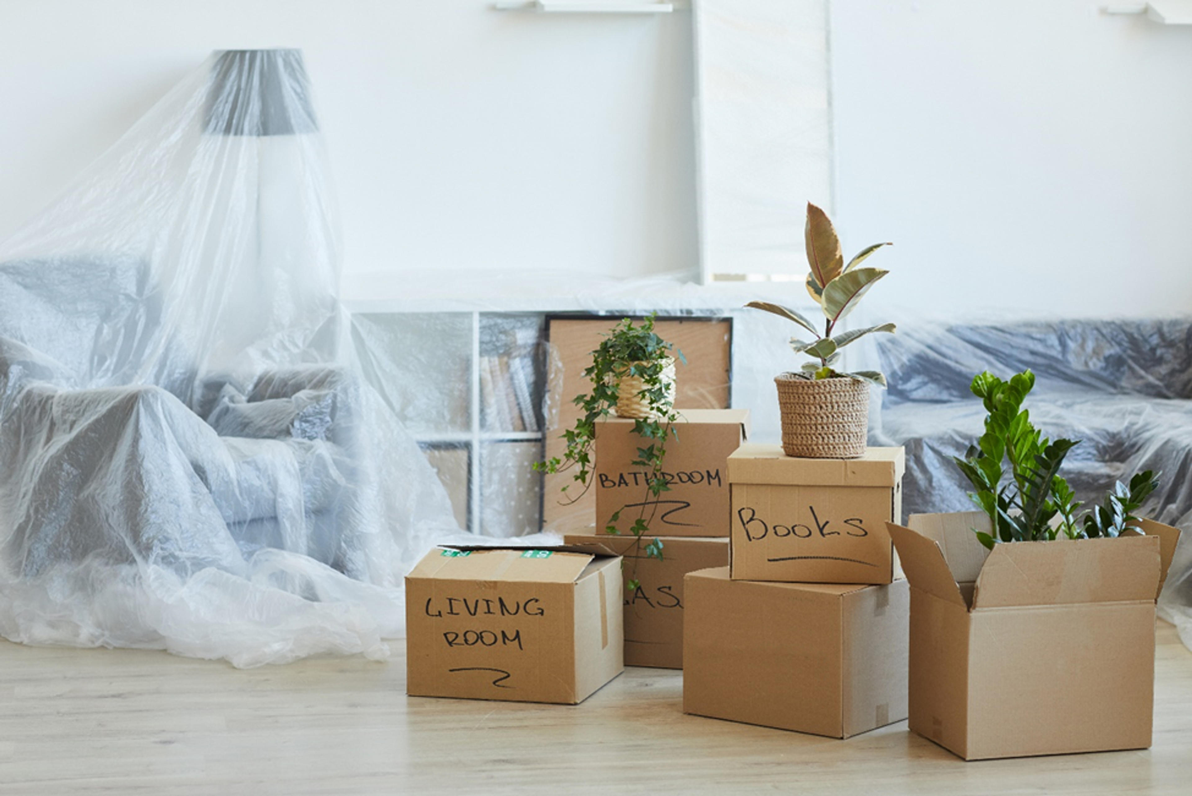 Labeled Moving Boxes