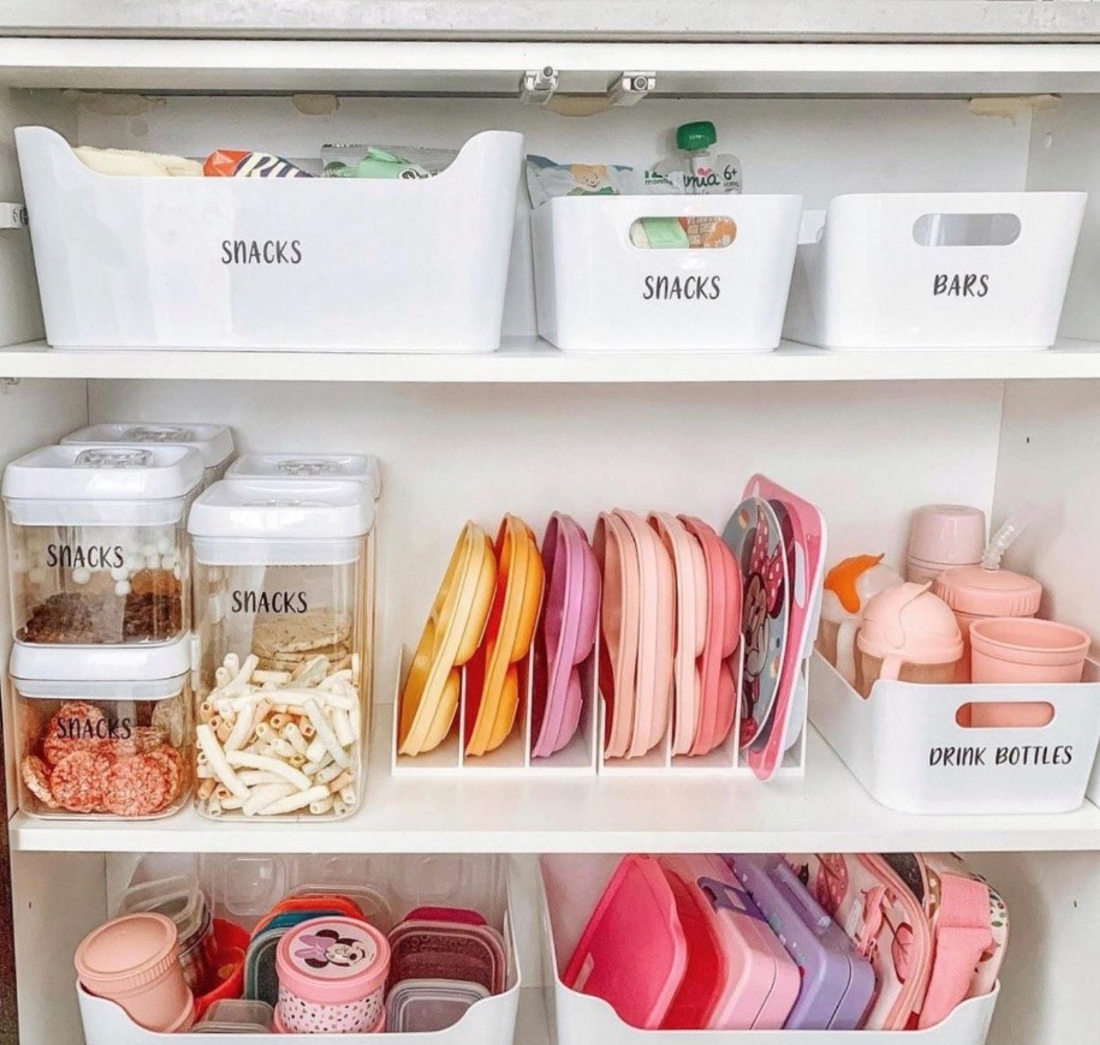 Labeled bins to see what is in your pantry