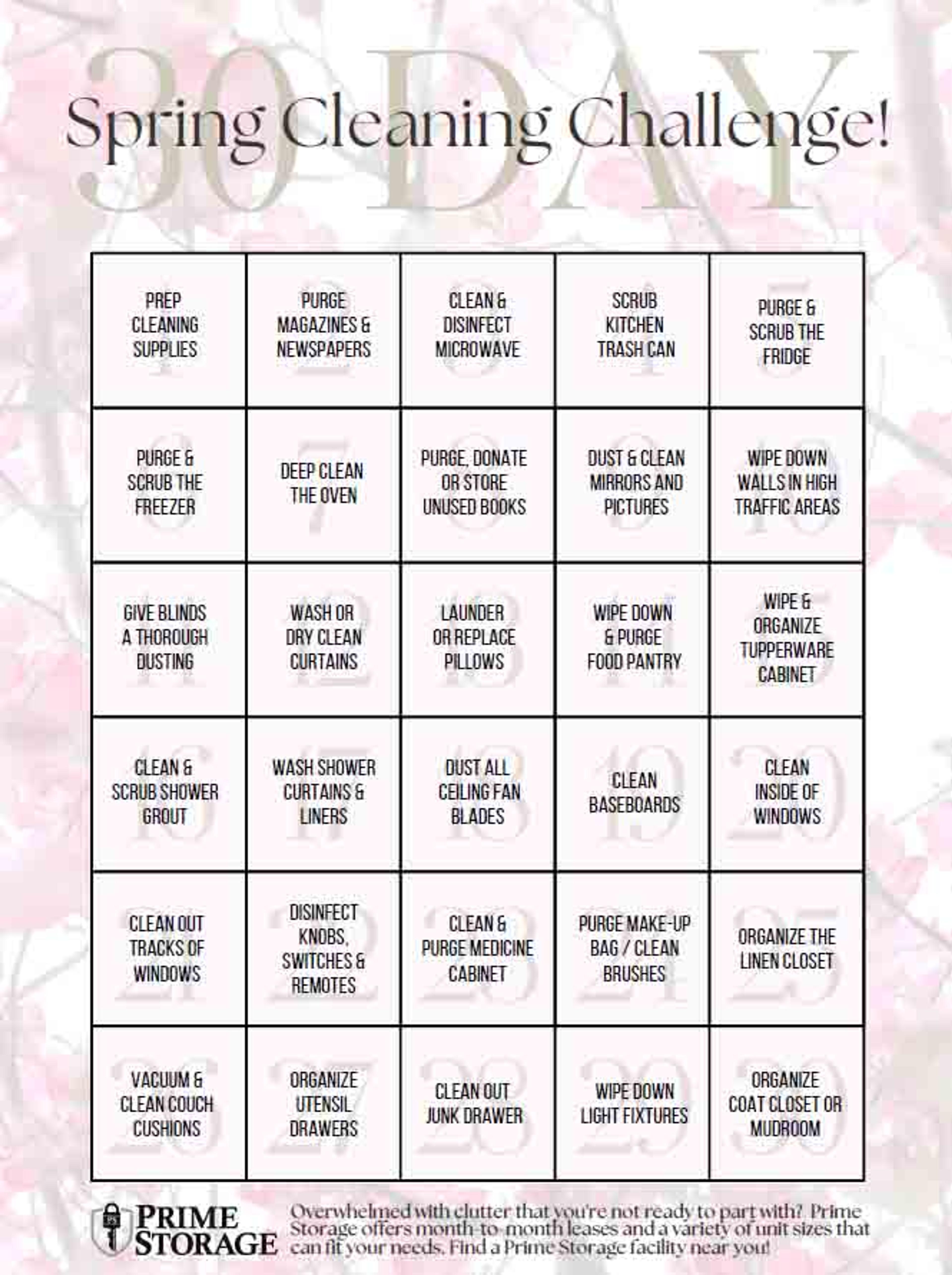 Spring Cleaning Challenge – Guest Blogger Series