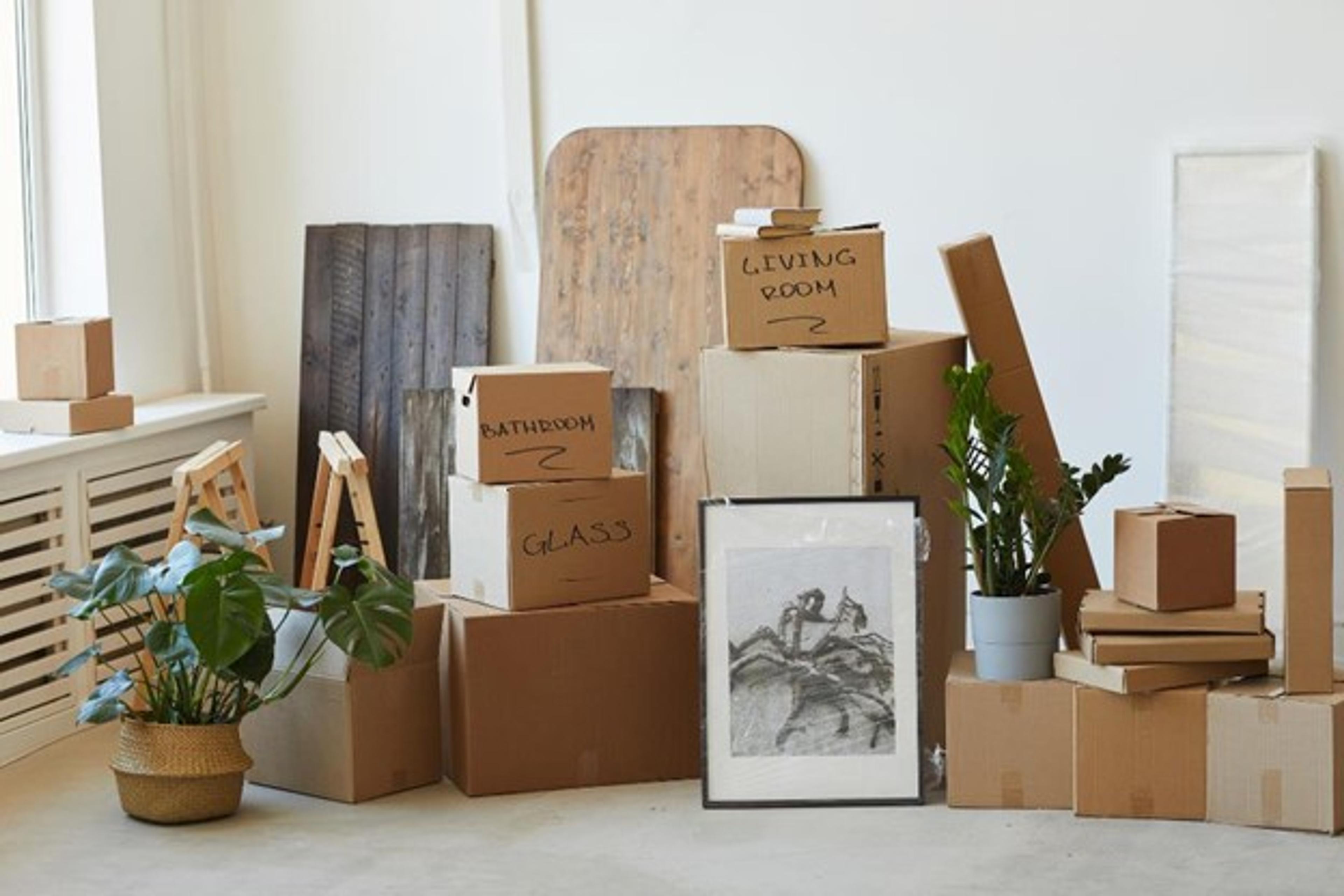 Stacks of plants, pictures, and moving boxes, some labeled and some not.