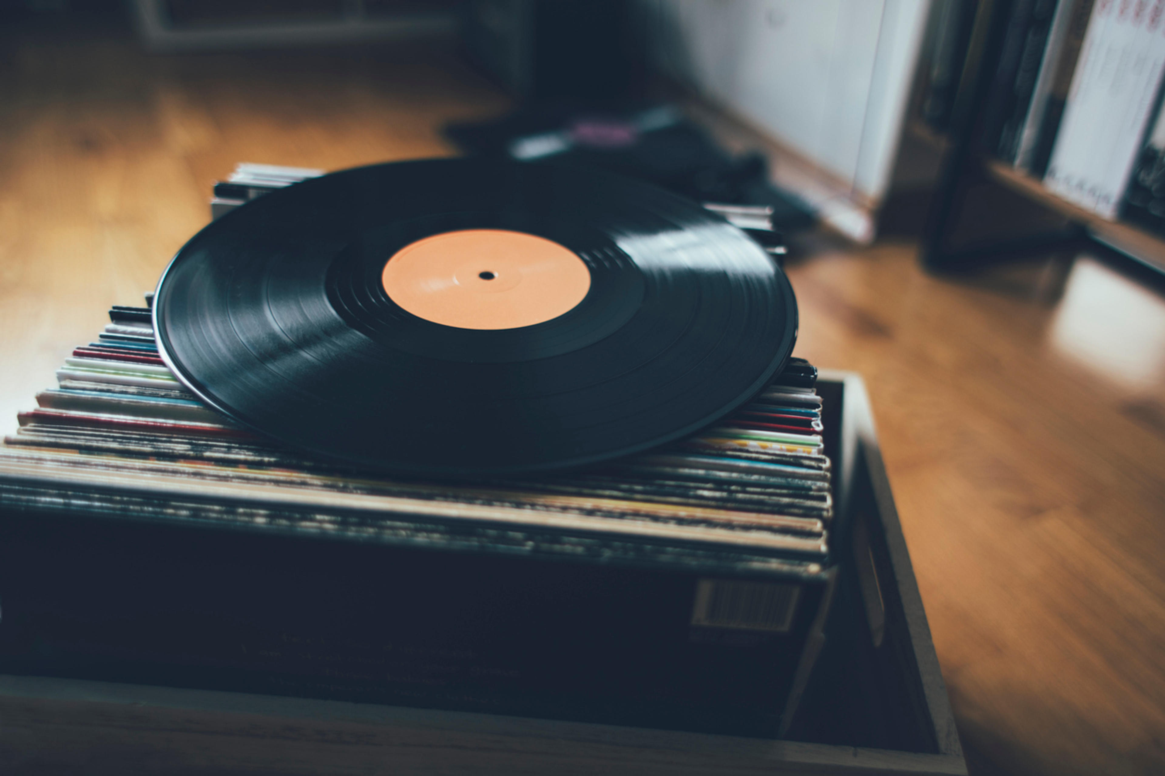 Vinyl record storage