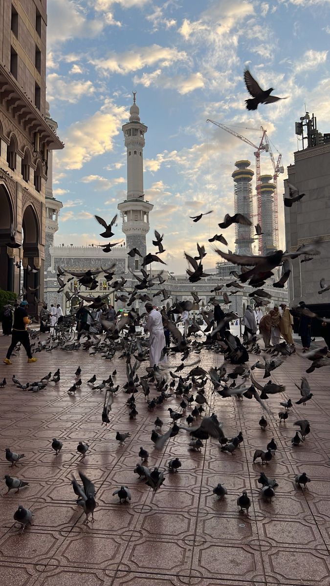 Birds
