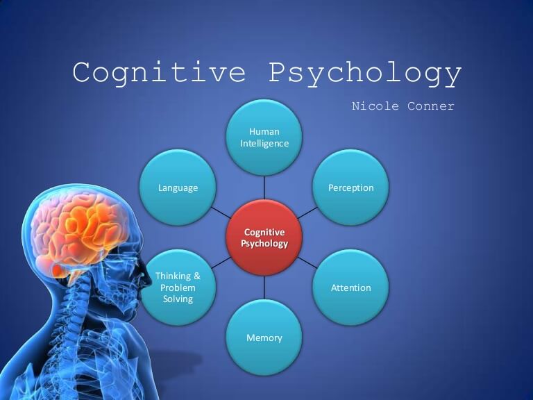 cognitive psychologist