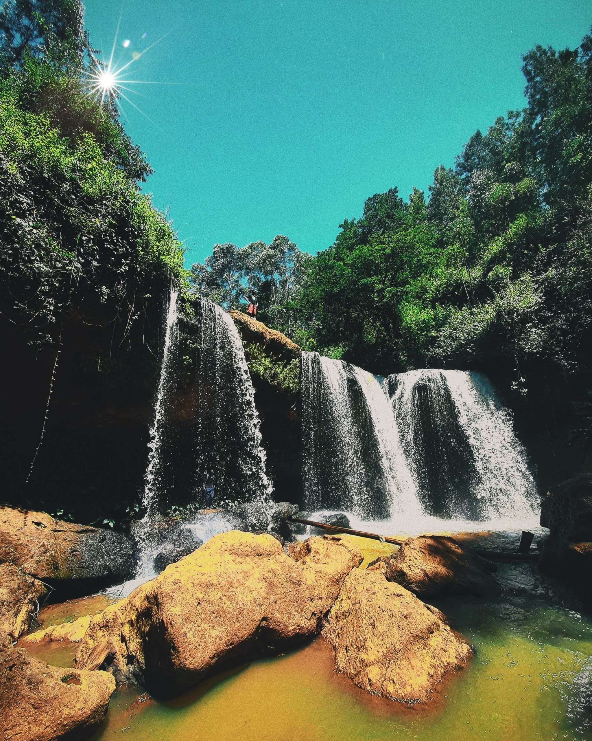 Gatamaiyu forest hike, Kiambu