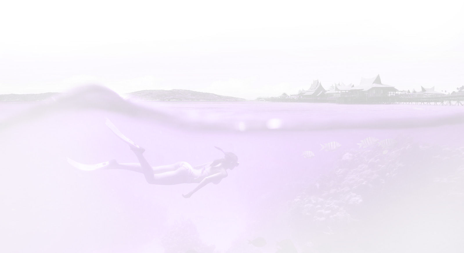 почемы итака крутые