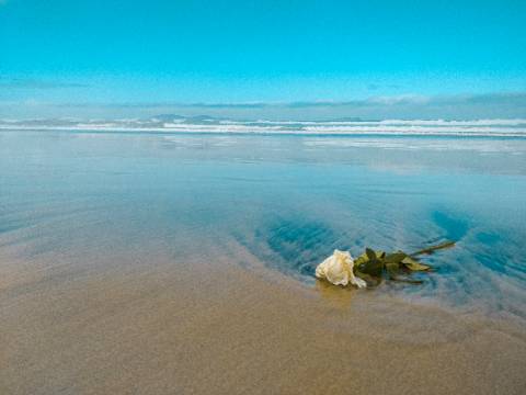 As 10 Melhores Praias de Tijuana para Curtir ao Sol