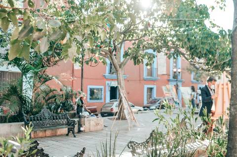 Oaxaca é Seguro? Guia de Segurança para Turistas