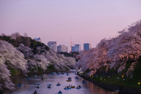東京は安全ですか？観光客のための安全ガイド