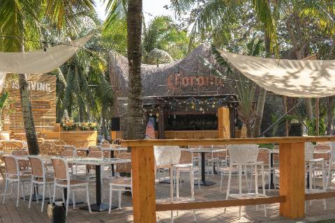 Melhores Restaurantes em Cancún para Todos os Gostos