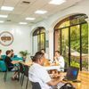 Vallarta Cowork