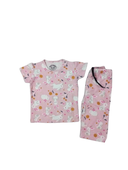 Rabbit Baby Pink Twin Set