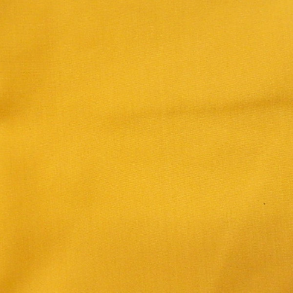 Selected Thumbnail Image
