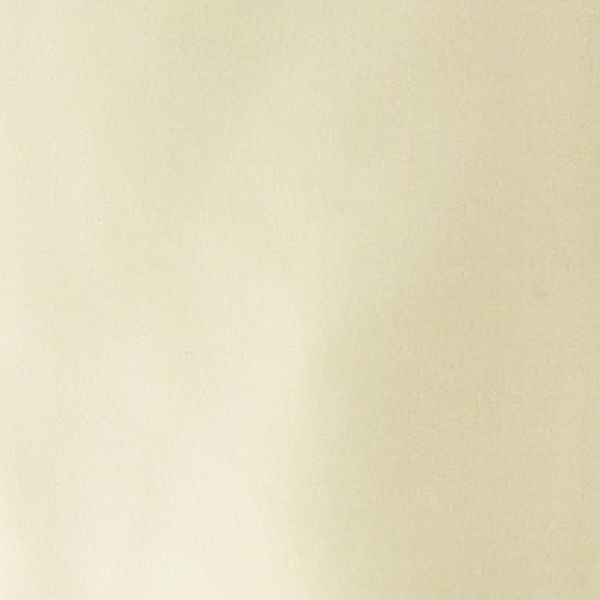 Selected Thumbnail Image