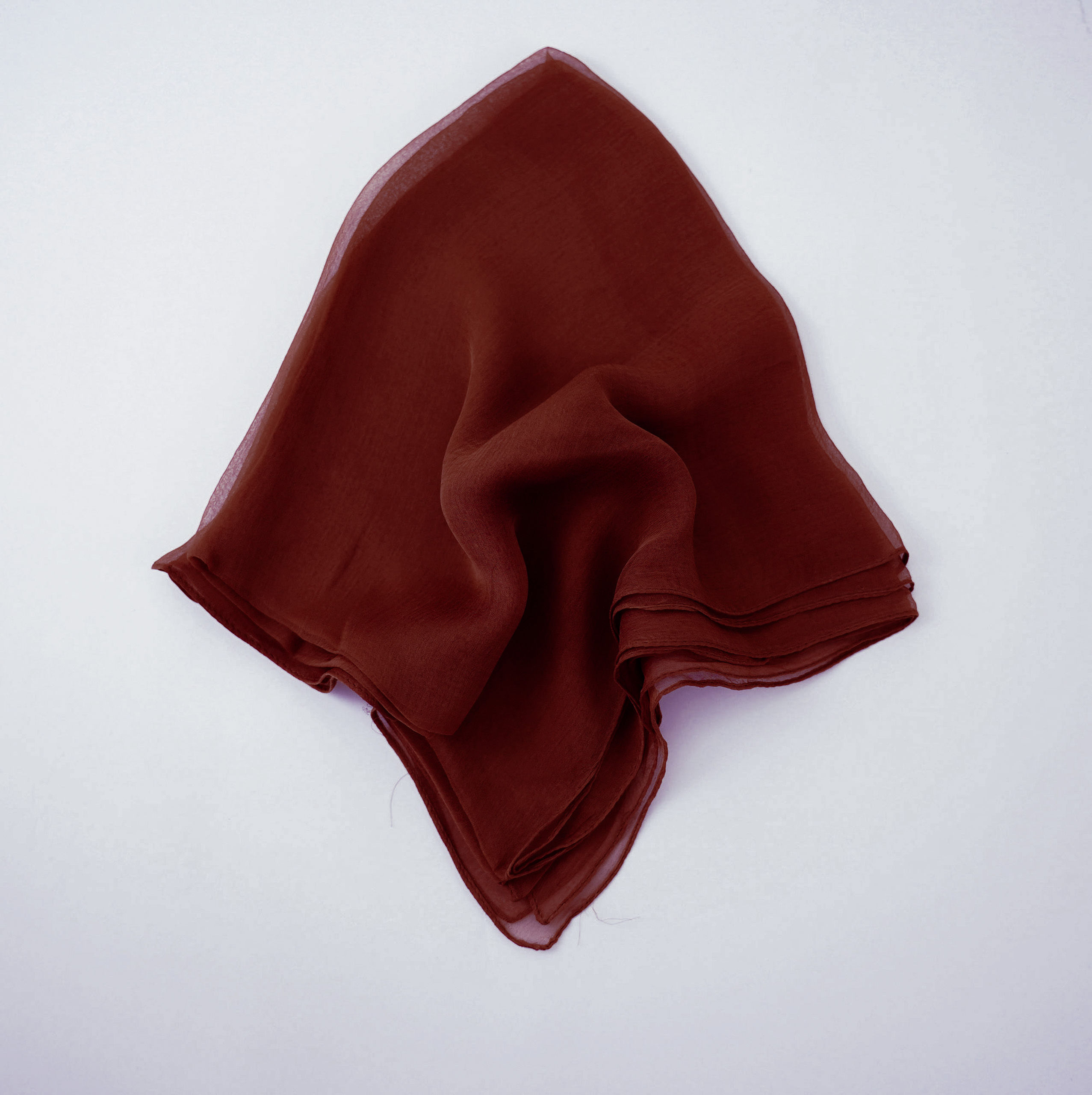 Selected Thumbnail Image