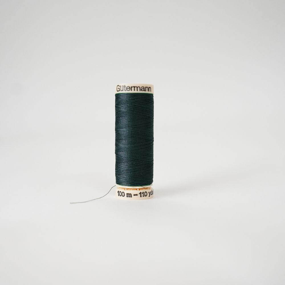 Selected Thumbnail Image