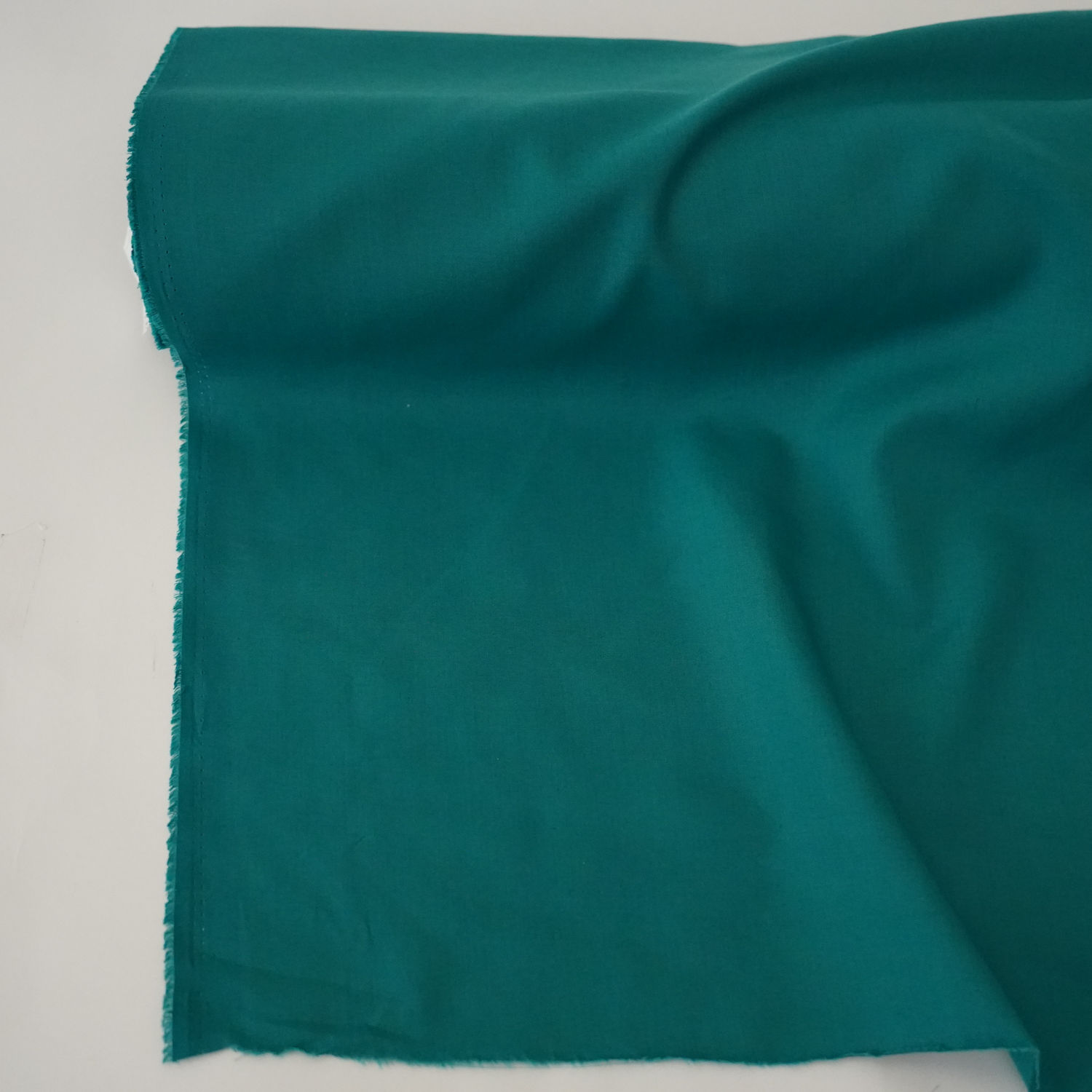 Selected Thumbnail Image