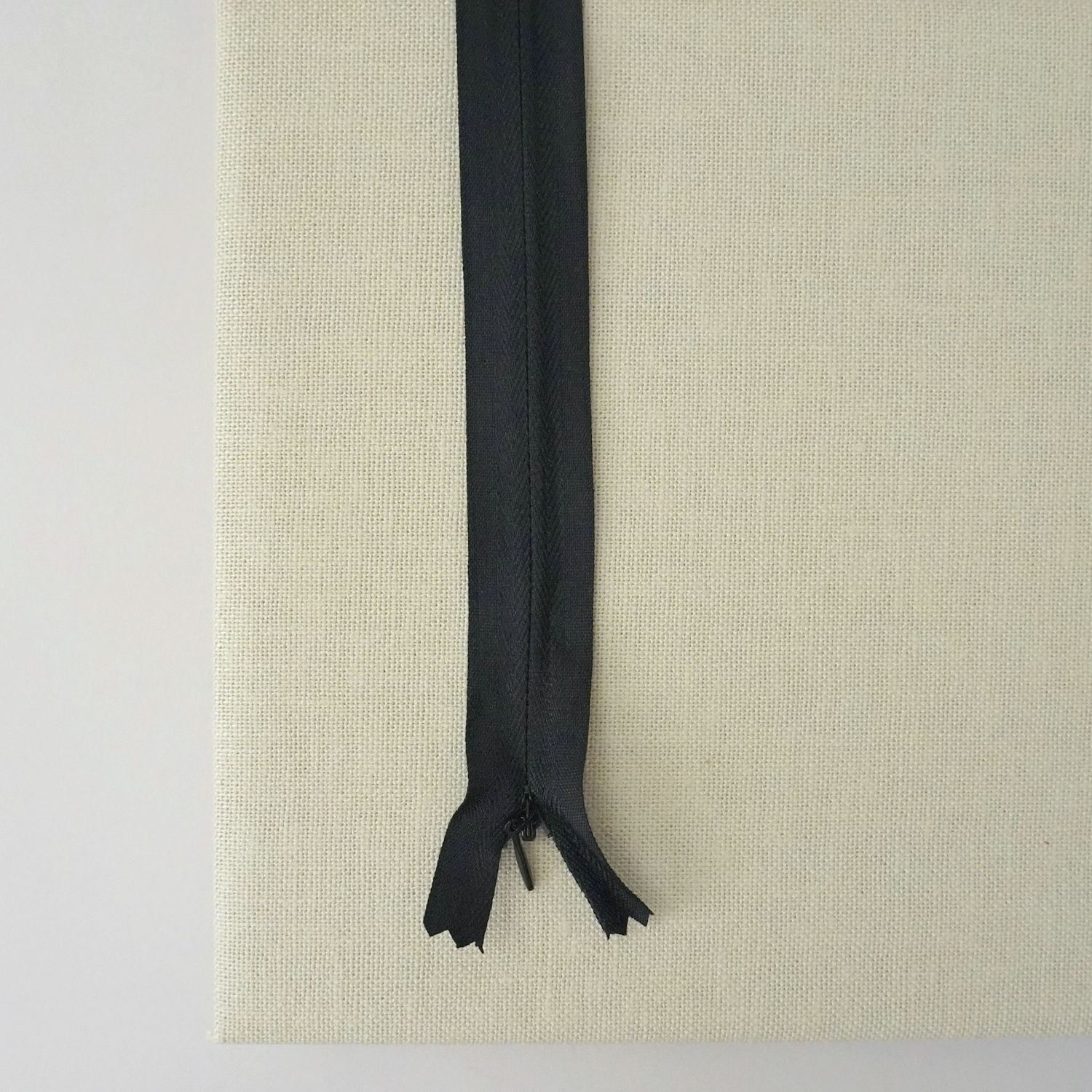 Selected Thumbnail Image