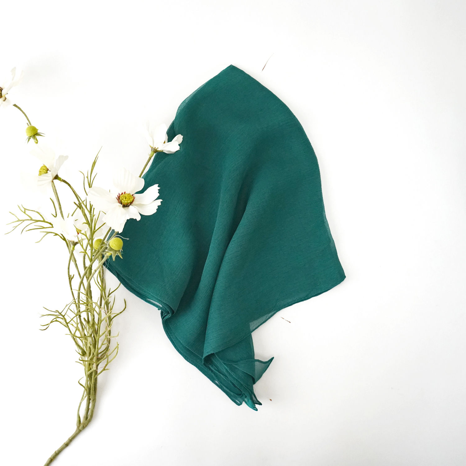 Selected Thumbnail Image