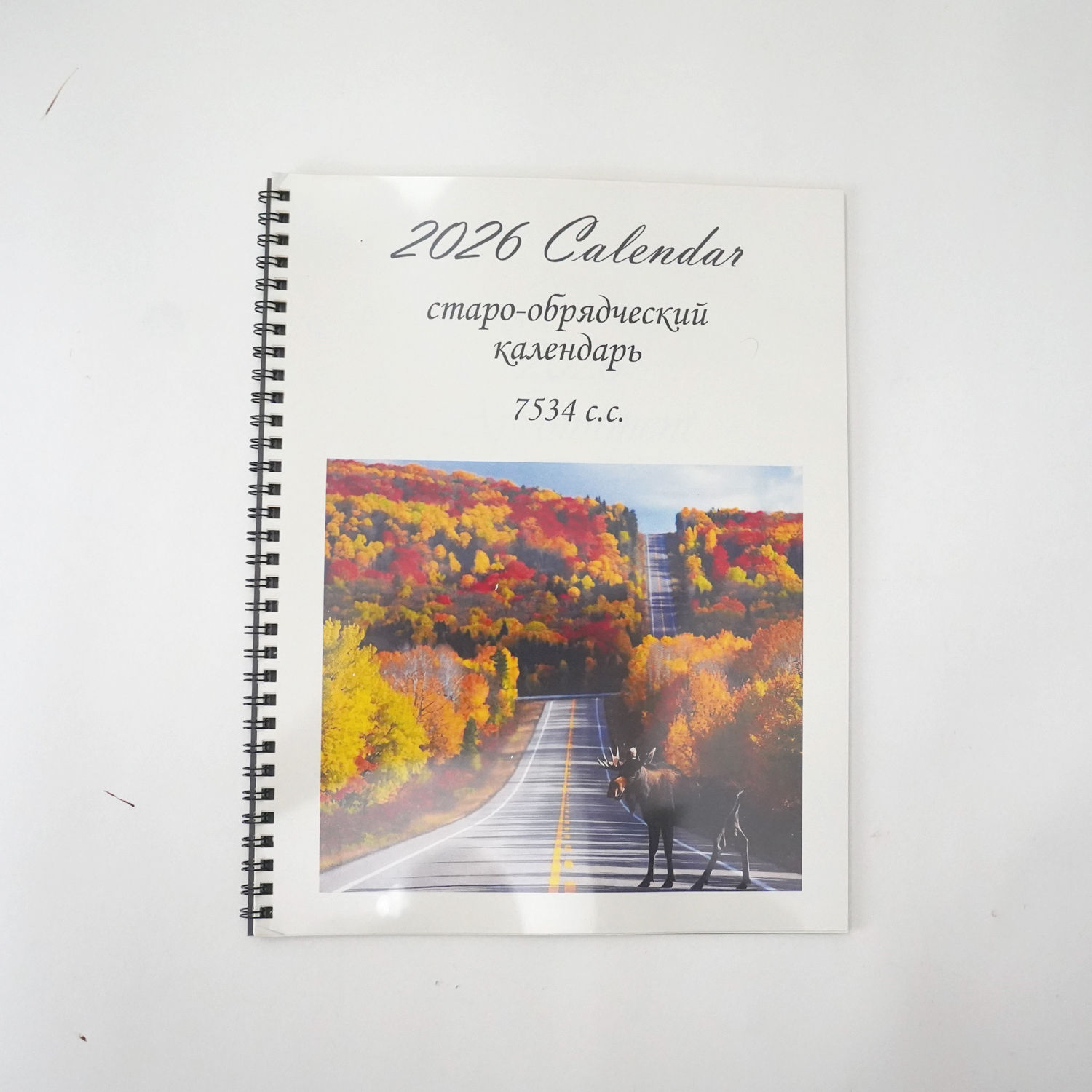 Selected Thumbnail Image