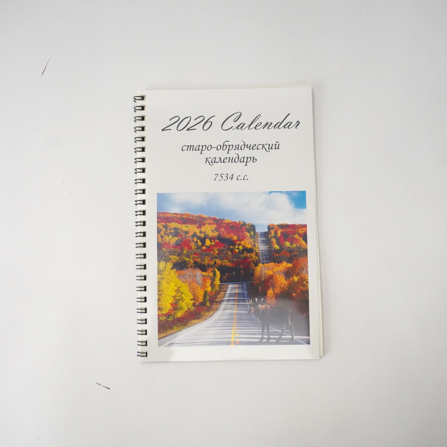 Selected Thumbnail Image