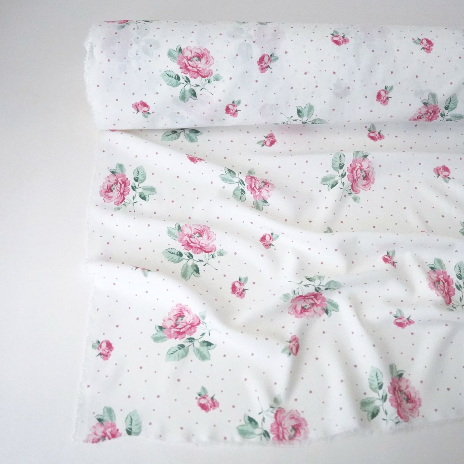 Selected Thumbnail Image