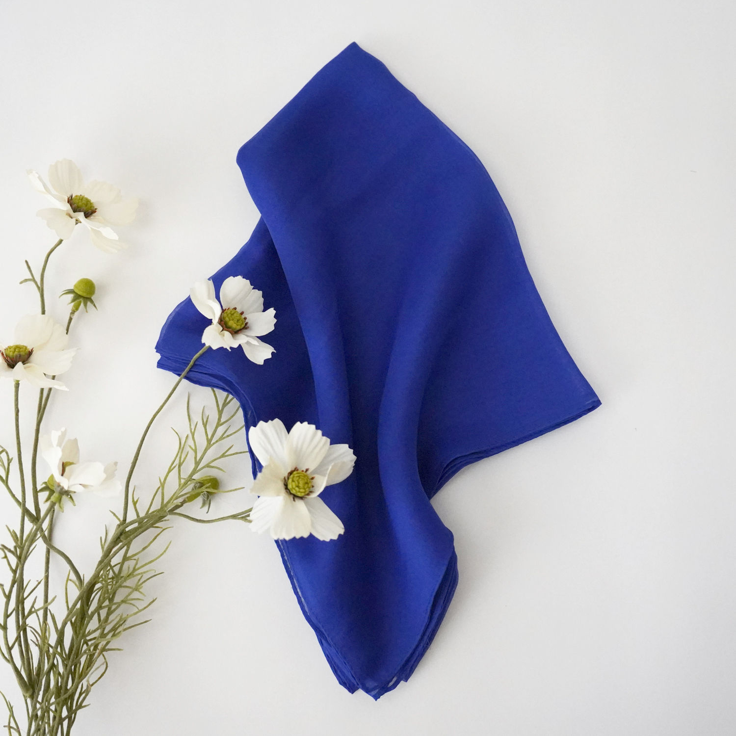 Selected Thumbnail Image