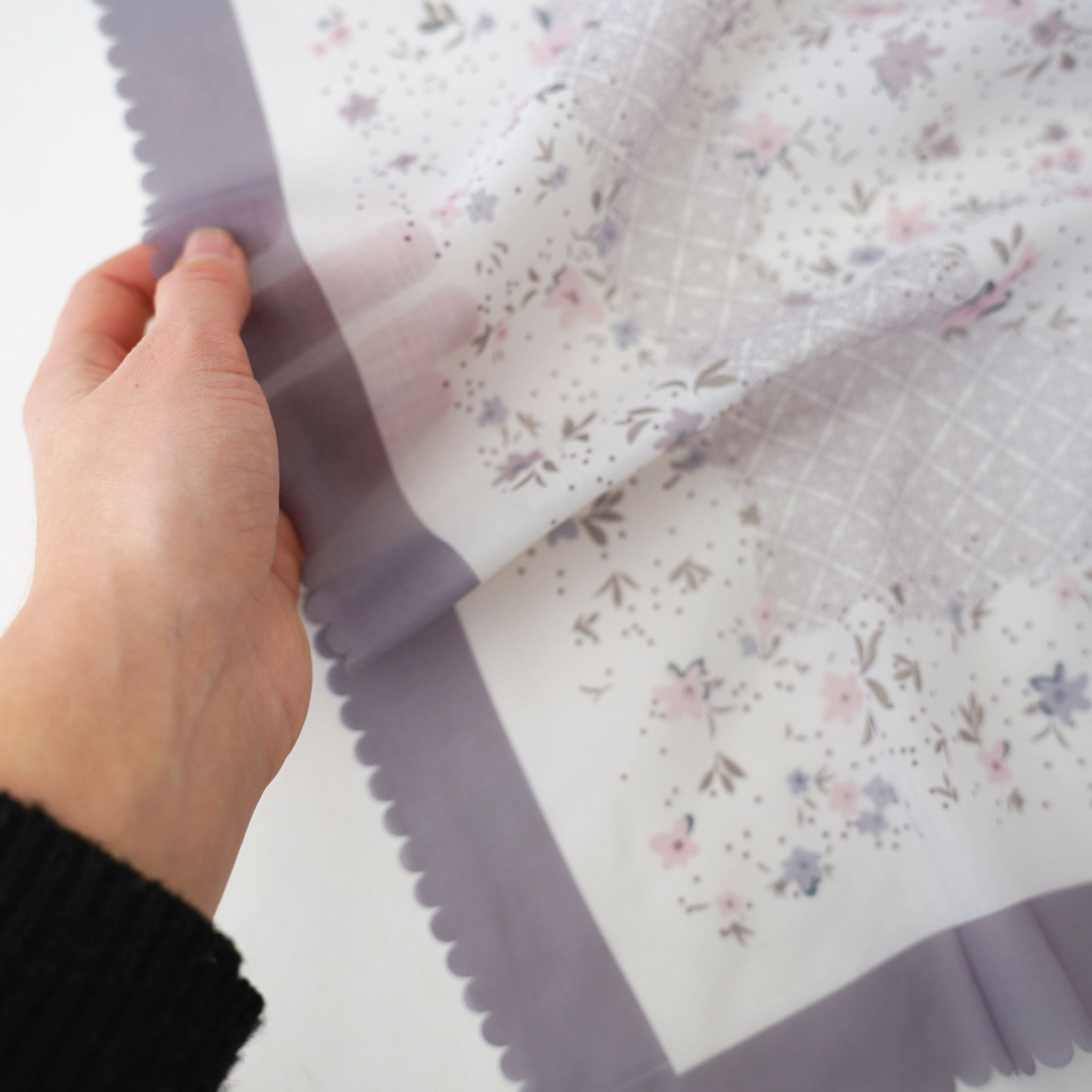 Selected Thumbnail Image
