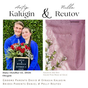 2nd Day Pink Rose Collection Product Image