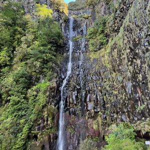 Levada do Risco (PR 6.1)