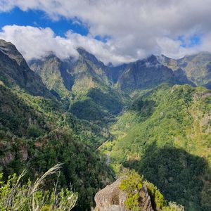 Cold River Viewpoint