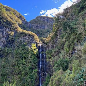 Levada do Risco (PR 6.1)