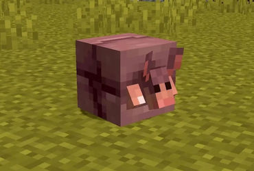 Minecraft Players Call for Change to Armadillo Mob Design