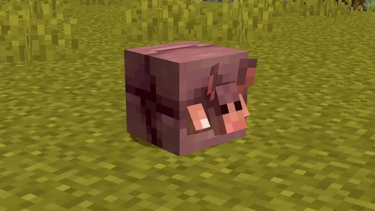 Minecraft Players Call for Change to Armadillo Mob Design