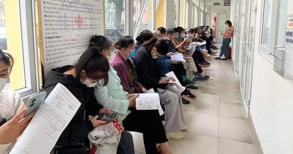 Nguyên Nhân Và Điều Trị Bệnh Sán Lá Gan Ở Phụ Nữ
