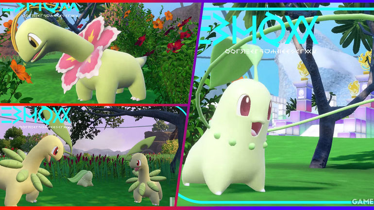 A Guide to Obtaining Chikorita and Its Evolutions