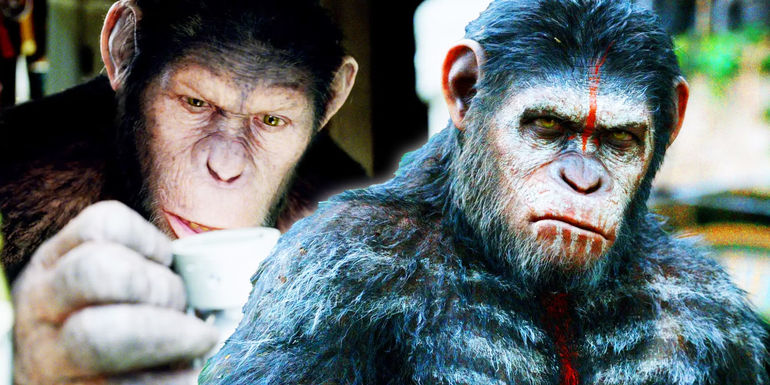 Bệnh Dịch Hạch Khỉ: Nguyên Nhân Và Hậu Quả