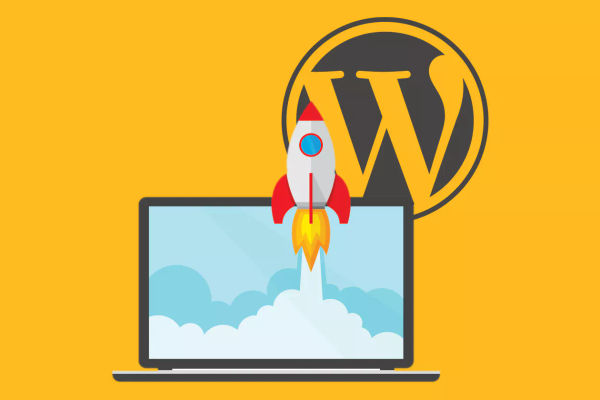 Revolutionary WordPress Performance Plugins: A Game Changer in Web ...