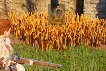 Mastering the Wheat Plantation in Palworld