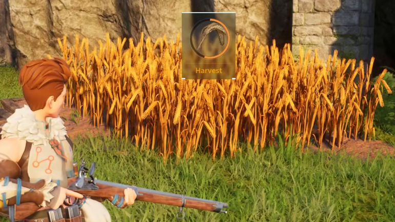 Mastering the Wheat Plantation in Palworld