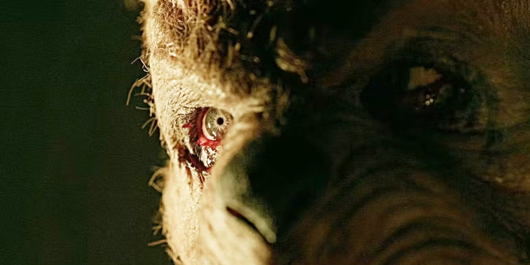 Winnie-the-Pooh looking angry in Winnie-the-Pooh: Blood and Honey 2