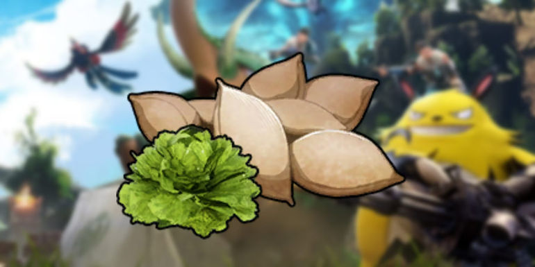 The Bounty of Lettuce Seeds in Palworld
