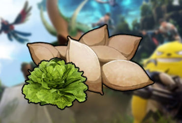 The Bounty of Lettuce Seeds in Palworld