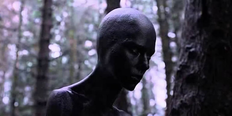 The alien sits in the woods in Under the Skin