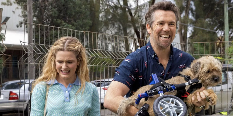 The Hilarious Return of Colin From Accounts: Season 2