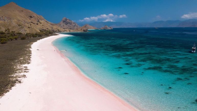 Exploring the World: A Journey Through Travel News