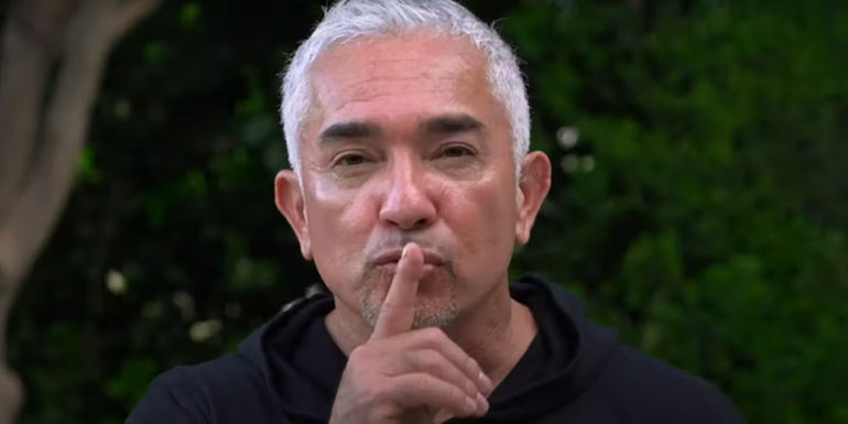 The Remarkable Journey of Cesar Millan: A Dog Whisperer's Legacy
