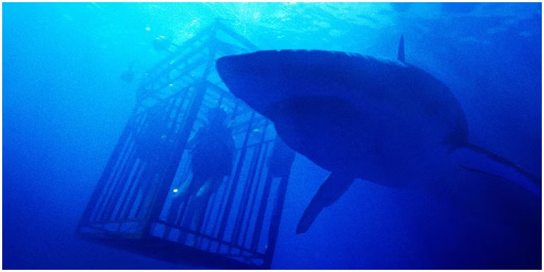 Lisa and Kate swimming away from sharks in dark water in 47 Meters Down