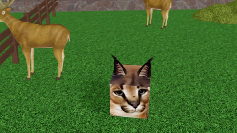 Unveiling the Secrets of Hide & Sneak Transform: A Comprehensive Guide to Codes and Rewards