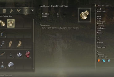 Unleashing the Power of Intelligence-Knot in Elden Ring